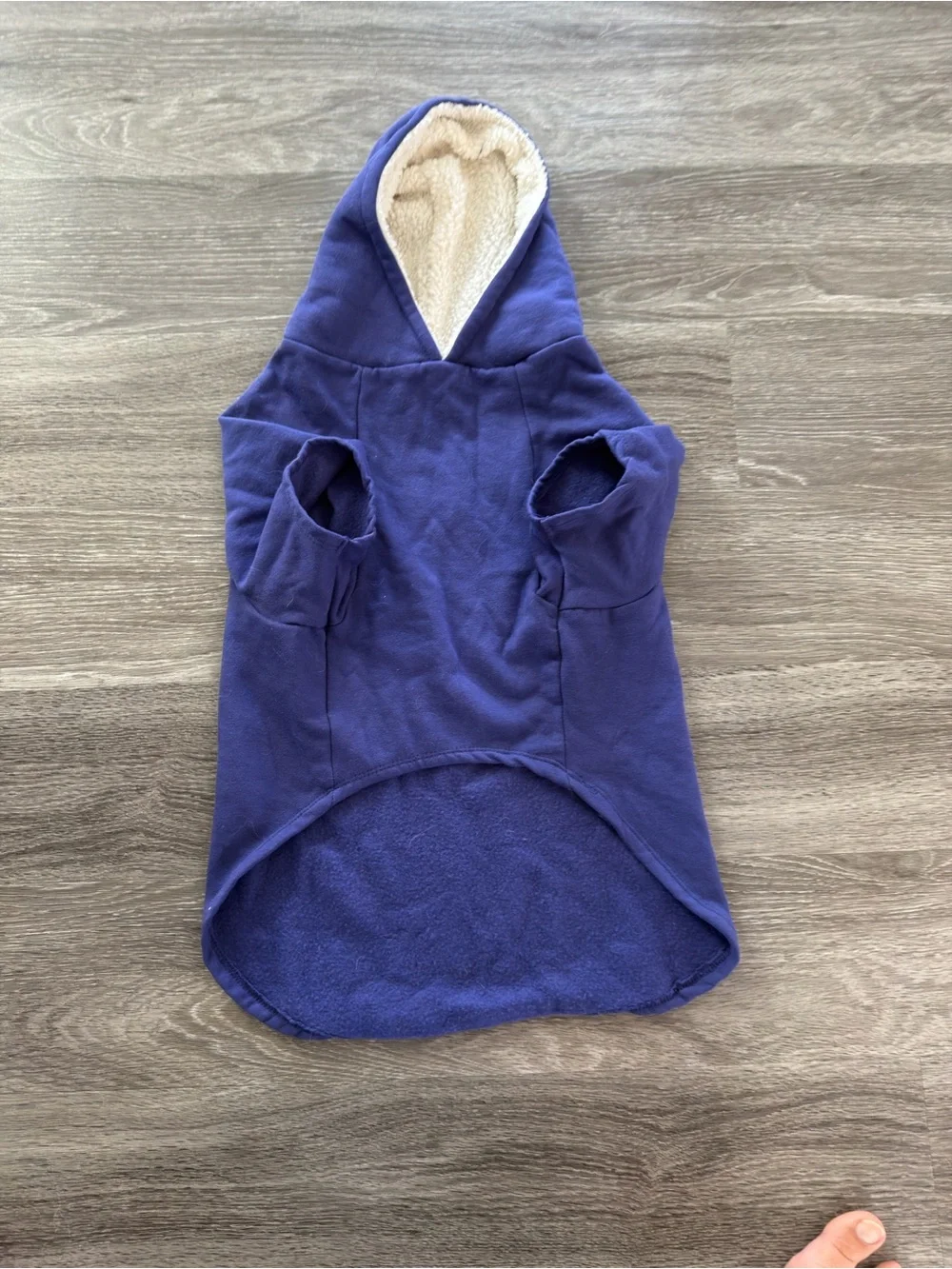 Dog top- Obedience School Drop-Out Purple Hooded Top